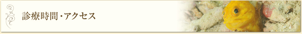 診療時間・アクセス